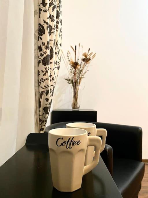 Harmony Homes- Piata Unirii Central Apartament Timişoara Eksteriør billede