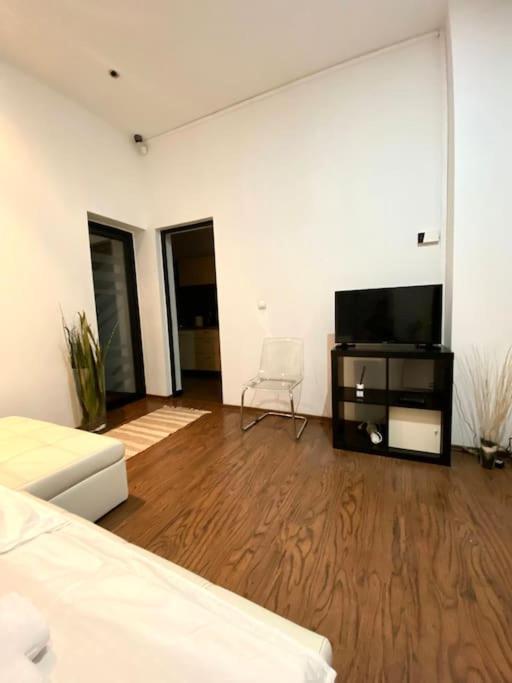 Harmony Homes- Piata Unirii Central Apartament Timişoara Eksteriør billede