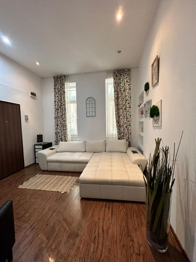 Harmony Homes- Piata Unirii Central Apartament Timişoara Eksteriør billede